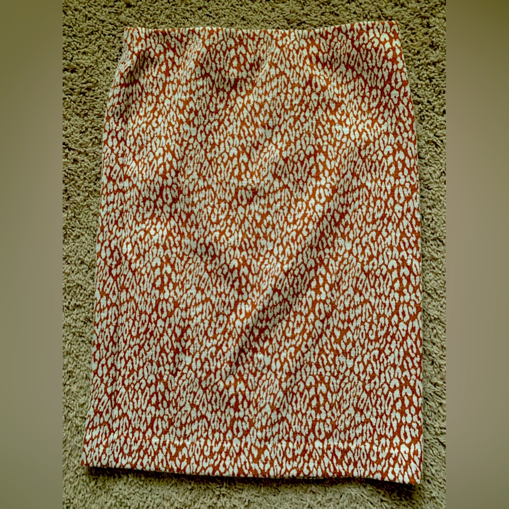 NWT Loft Pencil Skirt. Size Med.